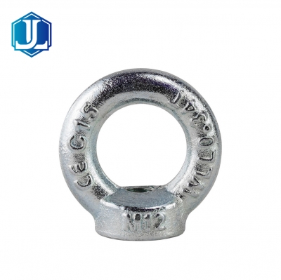 Din582 Galvanized Drop Forged Lifting Eye Nut